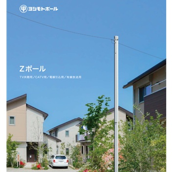 Zポール　Dタイプ